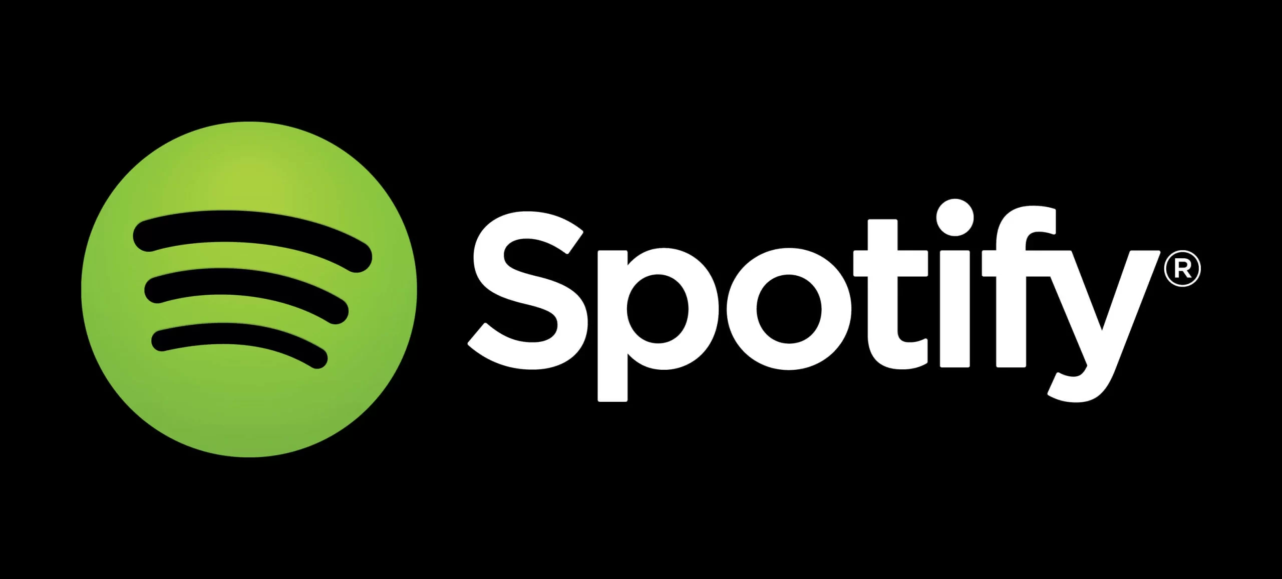 Spotify Premium 8.7.70.553 Apk